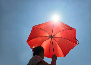 Фото: Shutterstock