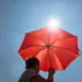 Фото: Shutterstock