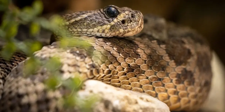 Фото: Shutterstock