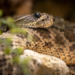 Фото: Shutterstock