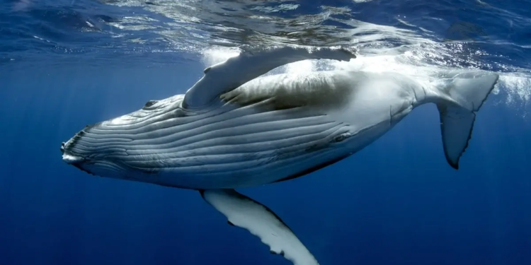 Фото: Shutterstock