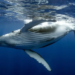 Фото: Shutterstock