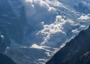 Фото: Shutterstock