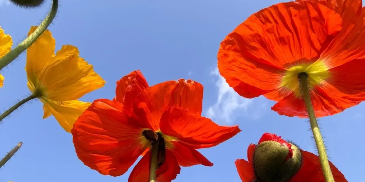 Фото: Shutterstock