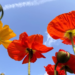 Фото: Shutterstock
