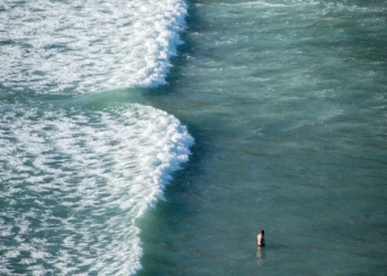 Фото: Shutterstock