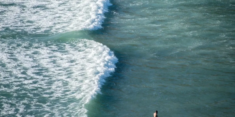 Фото: Shutterstock