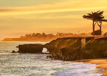Фото: Shutterstock