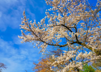 Фото: Shutterstock