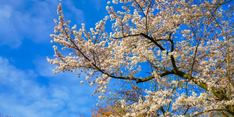 Фото: Shutterstock