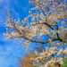 Фото: Shutterstock
