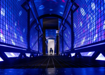 Фото: Shutterstock