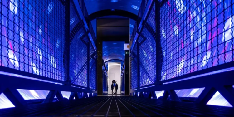 Фото: Shutterstock