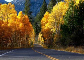 Фото: Shutterstock