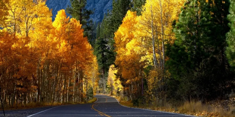 Фото: Shutterstock