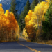 Фото: Shutterstock