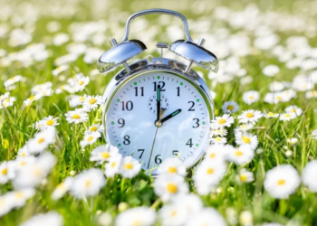 Фото: Shutterstock