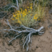 Фото: Shutterstock