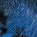 Фото: Shutterstock