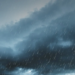 Фото: Shutterstock