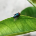 Фото: Shutterstock