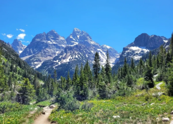 Фото: Shutterstock