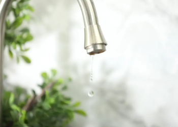 Фото: Shutterstock