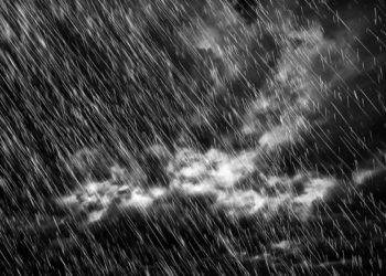 Фото: Shutterstock