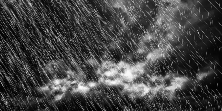 Фото: Shutterstock