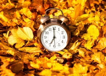 Фото: Shutterstock