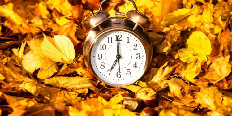 Фото: Shutterstock