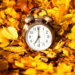 Фото: Shutterstock