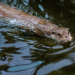 Фото: Shutterstock