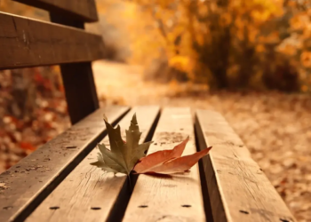 Фото: Shutterstock