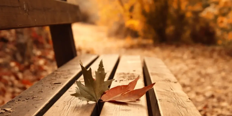 Фото: Shutterstock