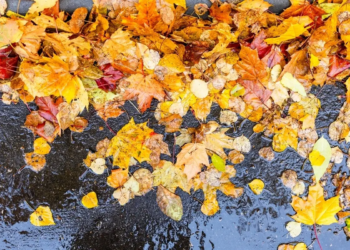 Фото: Shutterstock