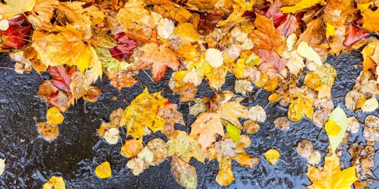 Фото: Shutterstock
