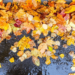 Фото: Shutterstock