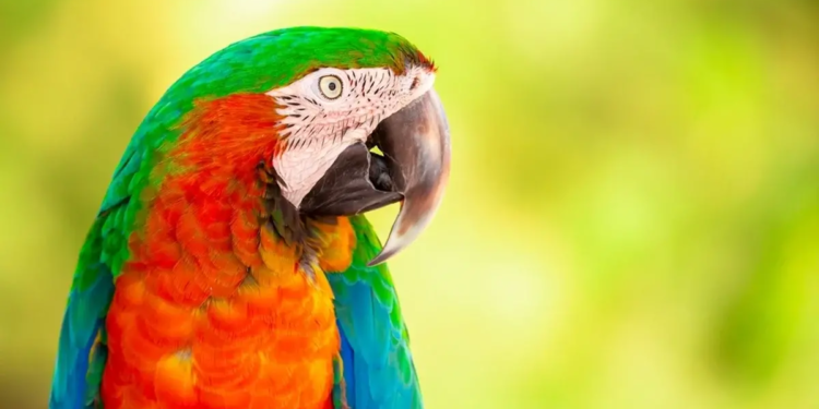 Фото: Shutterstock