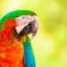 Фото: Shutterstock