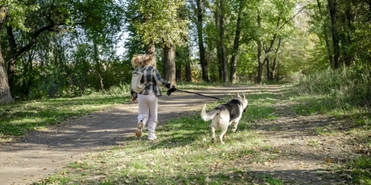 Фото: Shutterstock