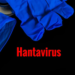 Фото: Shutterstock