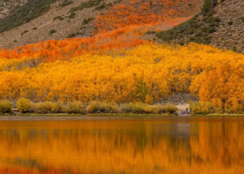 Фото: Shutterstock