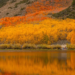 Фото: Shutterstock
