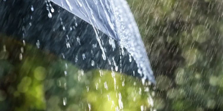 Фото: Shutterstock