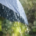 Фото: Shutterstock