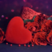 Фото: Shutterstock
