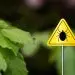 В Калифорнии растет число случаев анаплазмоза