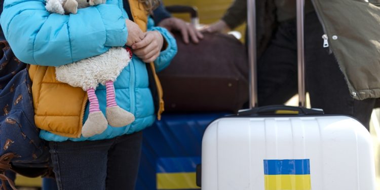 украинских беженцев