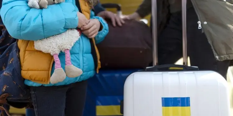 украинских беженцев